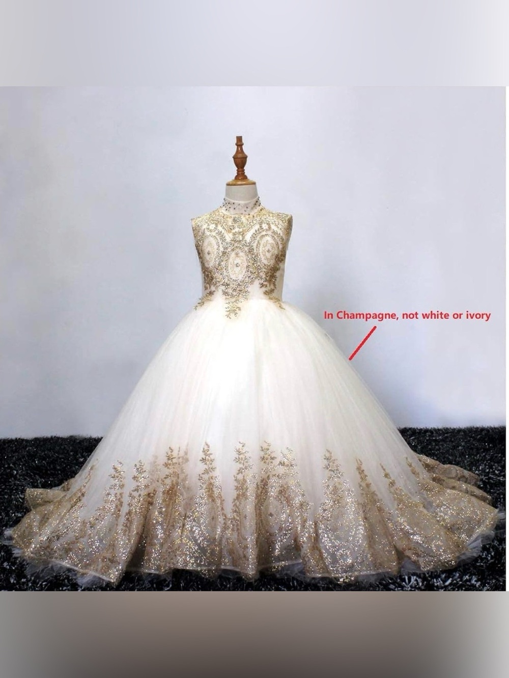 Champagne Gold Embroidered Tulle Ball Gown Dress for Girls